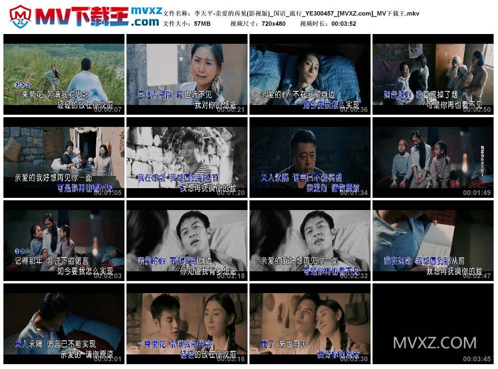 李天平-亲爱的再见(影视版)_国语_流行_YE300457